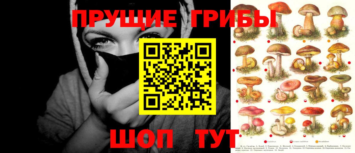 Галлюциногенные грибы мицелий Ачхой-Мартан