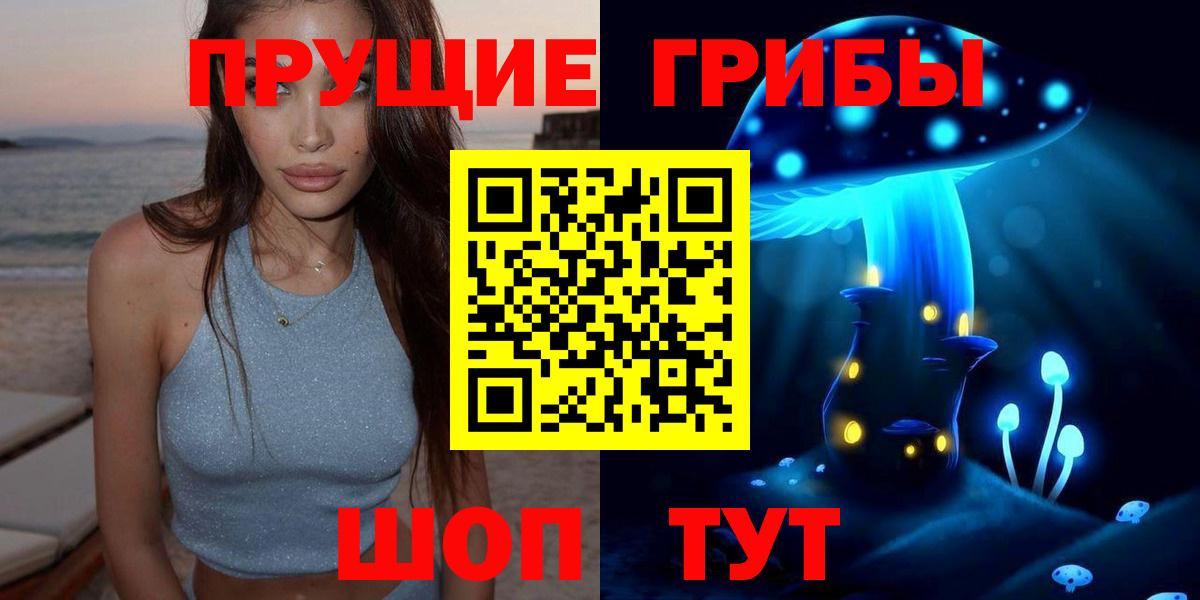 Ачхой-Мартан  Галлюциногенные грибы Psilocybine cubensis  Вход с VPN 